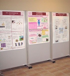 Poster Flip Chart