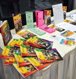 promotional literature printing flyers pamphlets brochures