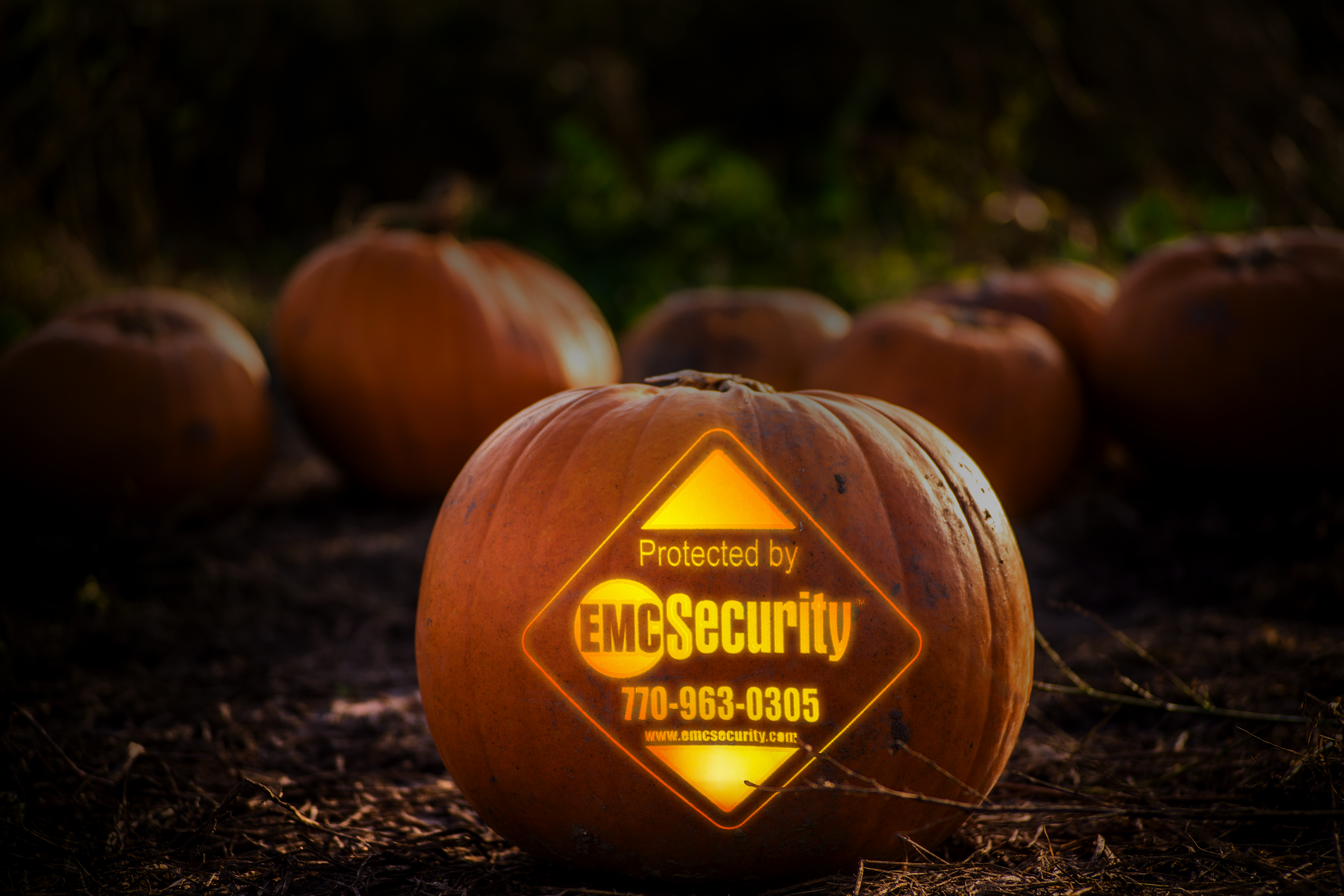 Does Crime REALLY Spike On Halloween? Surprising Facts About Danger to Your Home