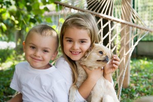 Orange County Child Custody Investigation