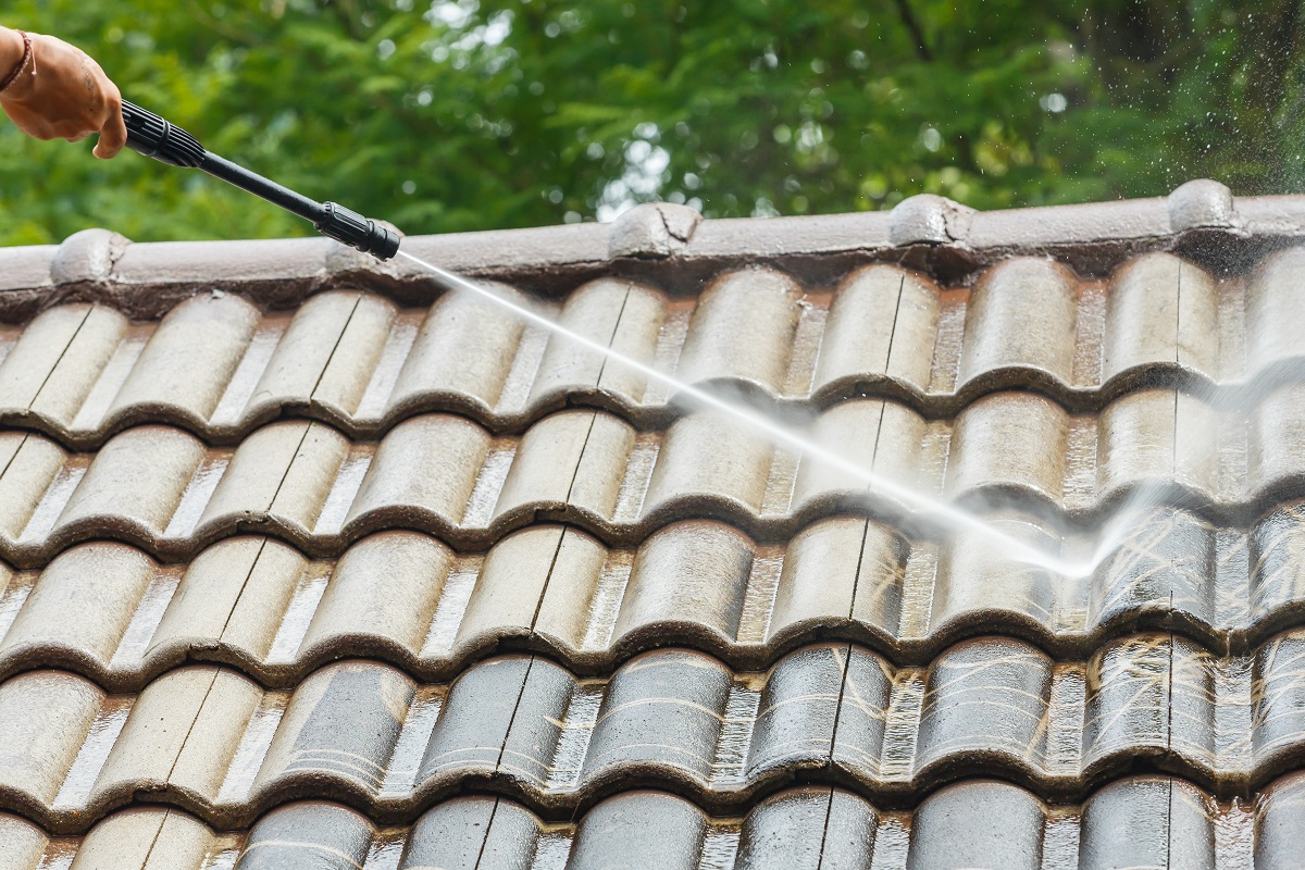 roof cleaning near me