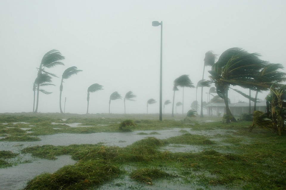 A parking lot in a hurricane