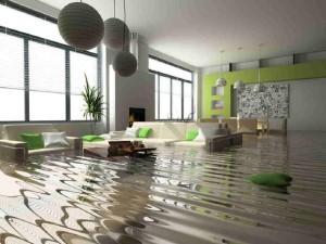 water-mitigation