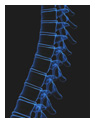 Low Back Disorders  Pinnacle Orthopaedics