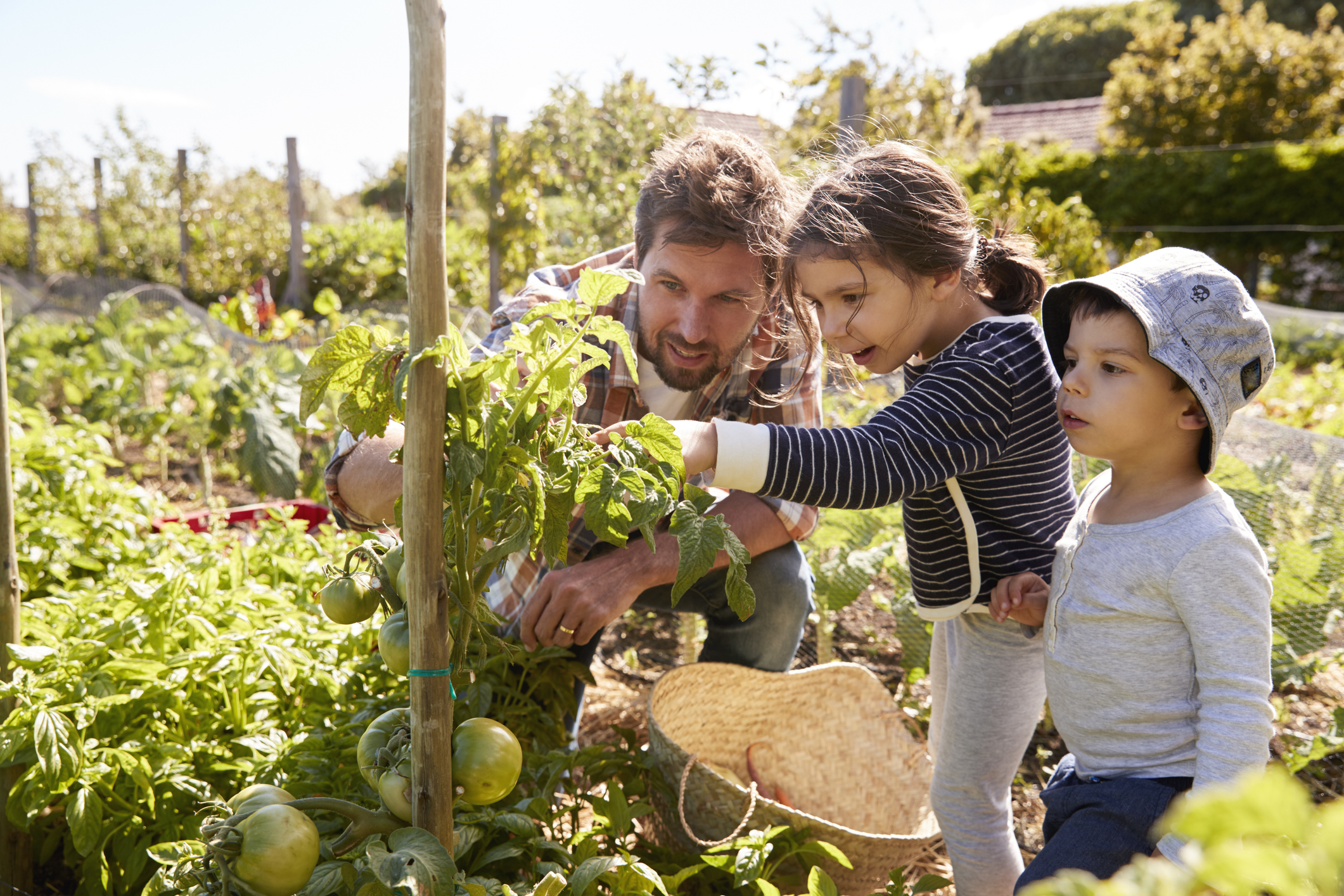 Fun Outdoor Activities for a Healthy Family