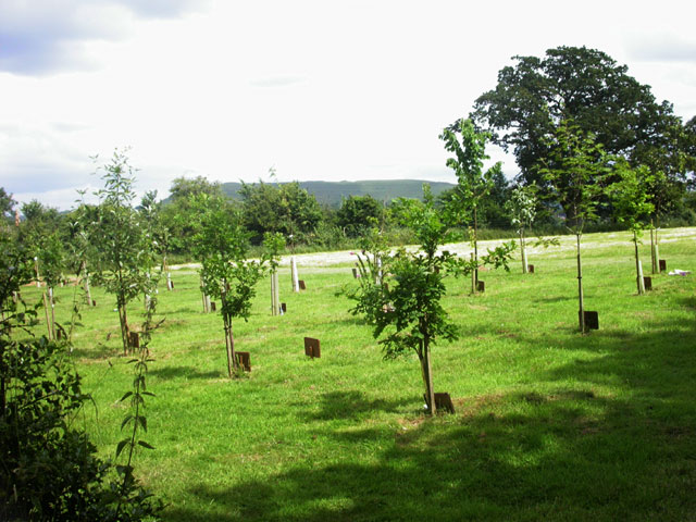 Eco friendly burial site