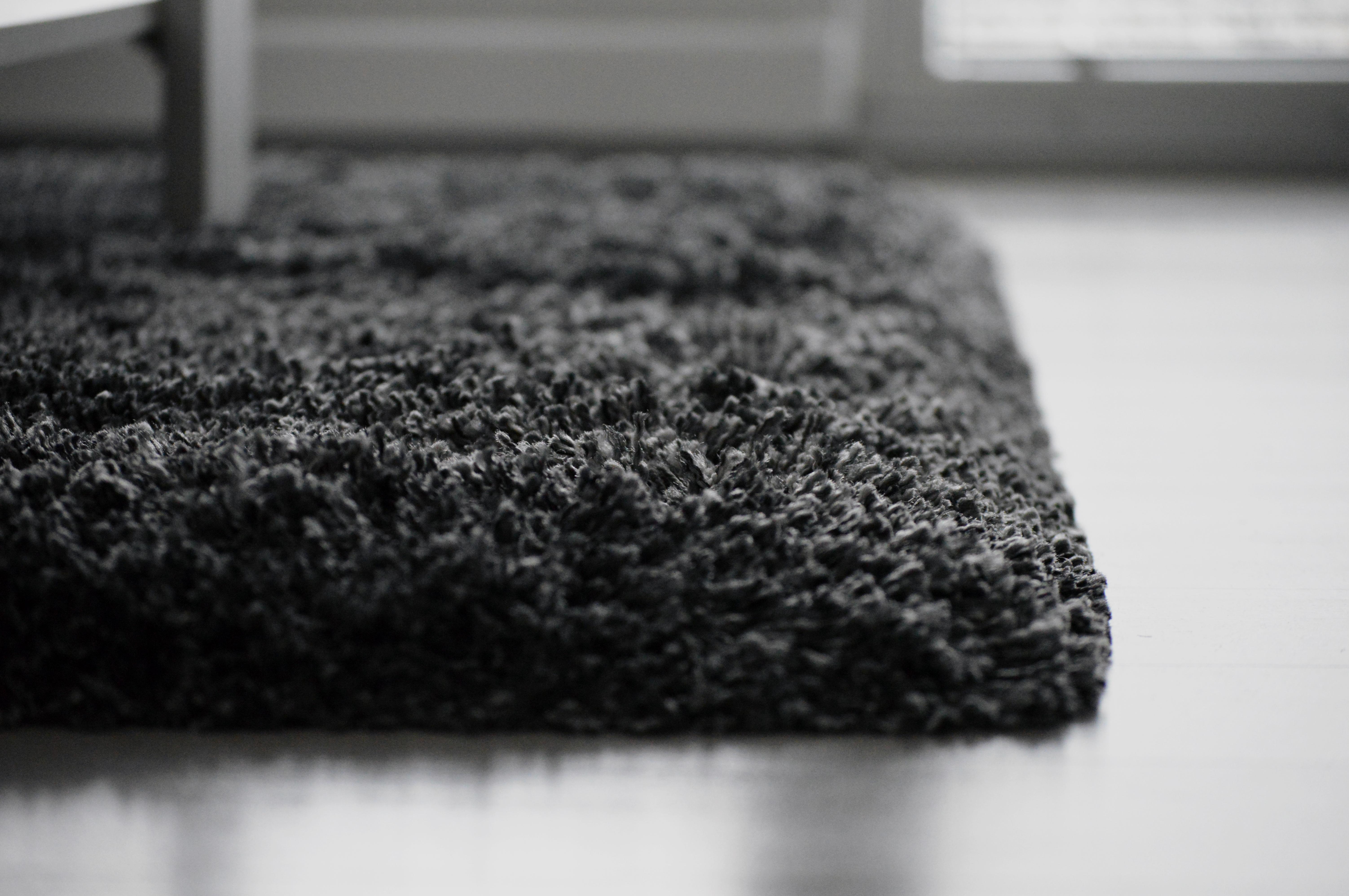 5 Things to Do Before Professional Carpet Cleaners Arrive