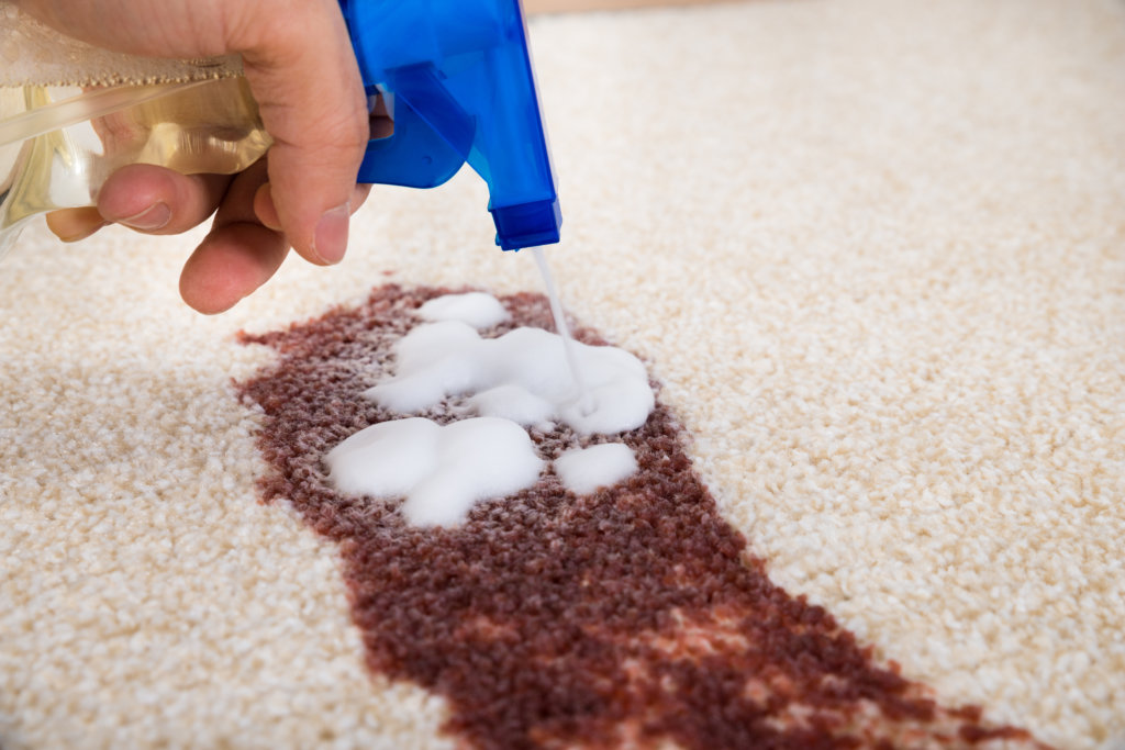 How to Remove the Pet Urine Odor from Your Carpet and Furniture