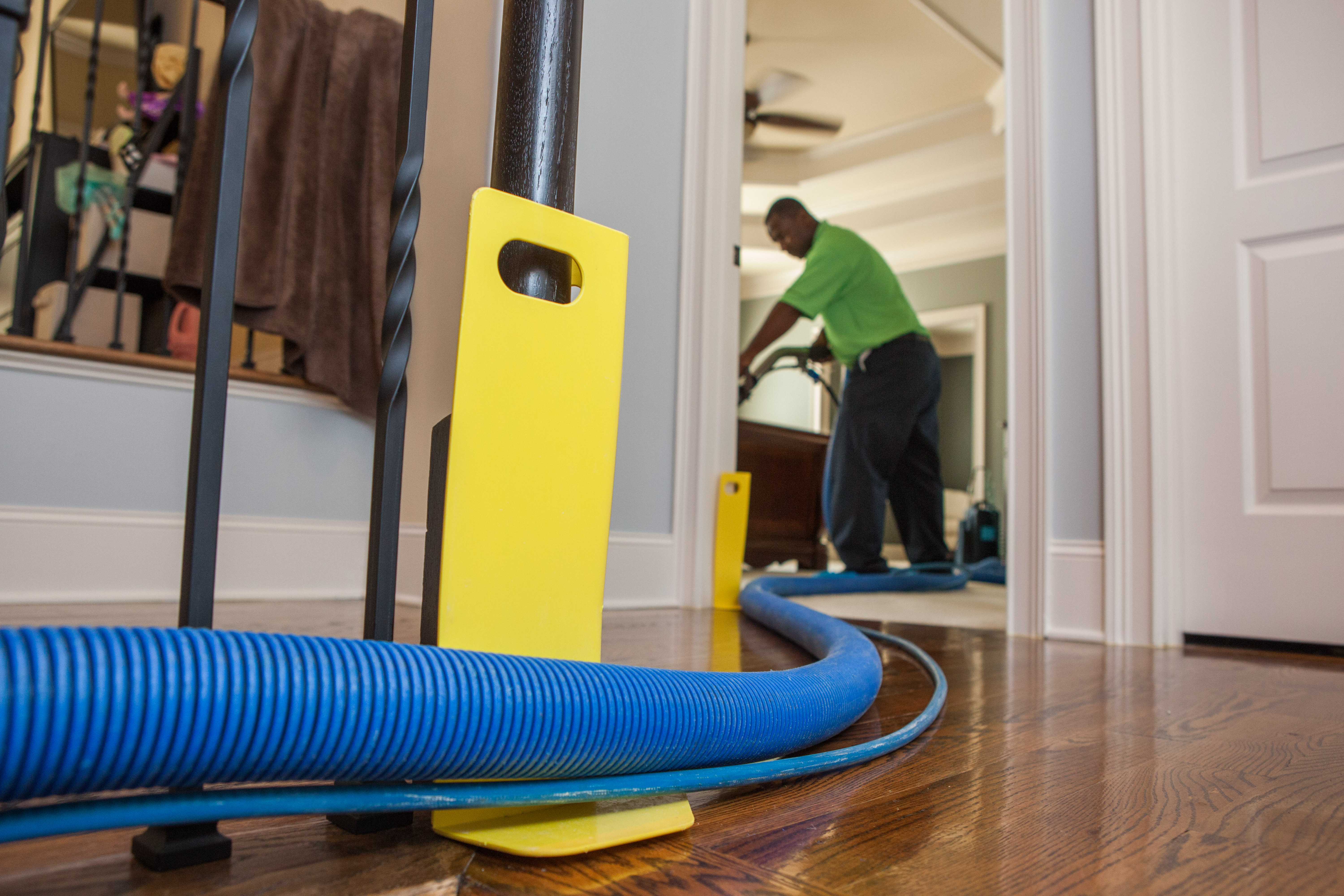 5 Tips Before the Professionals Come In Zerorez Asheville